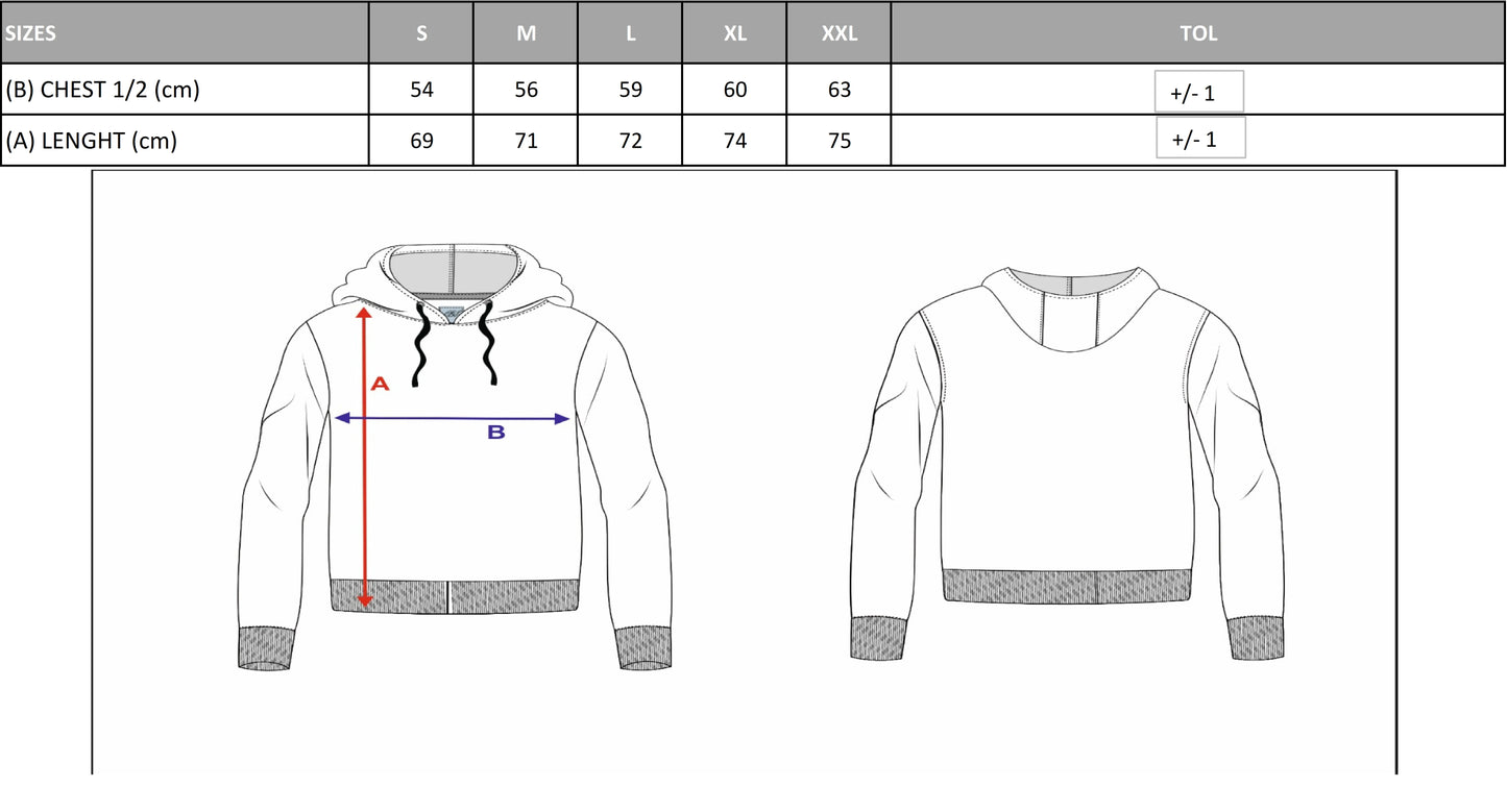 Cipo & Baxx ADELAIDE men's hooded sweatshirt CL559